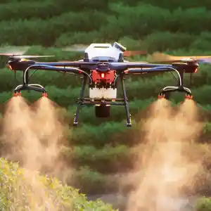 Drone