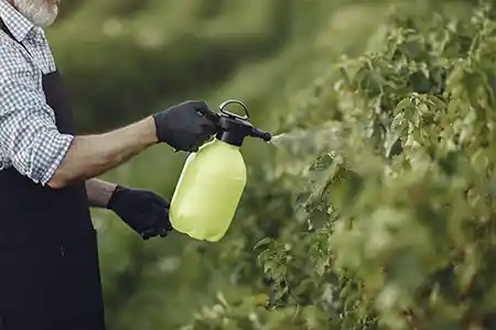 Fertilizante foliar